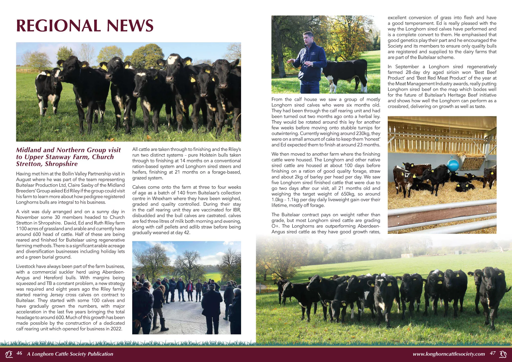 LONGHORN SOCIETY MEMBERS VISIT ONE OF BUITELAAR'S MOST PROGRESSIVE REARER FINISHERS