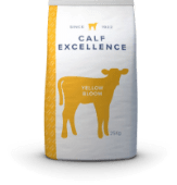 Buitelaar Milk Powder Yellow Bloom