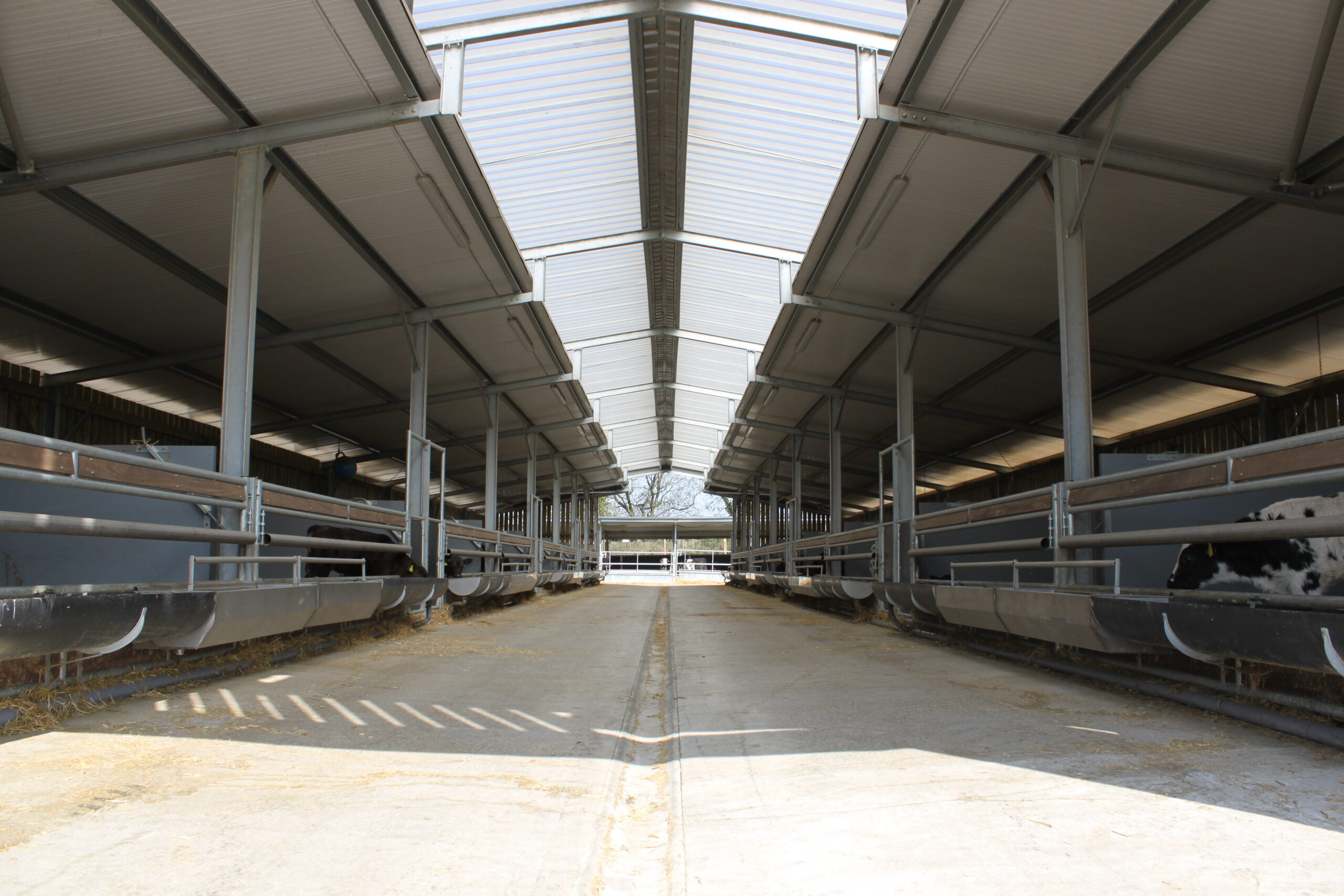 Buitelaar Research & Development Image 1