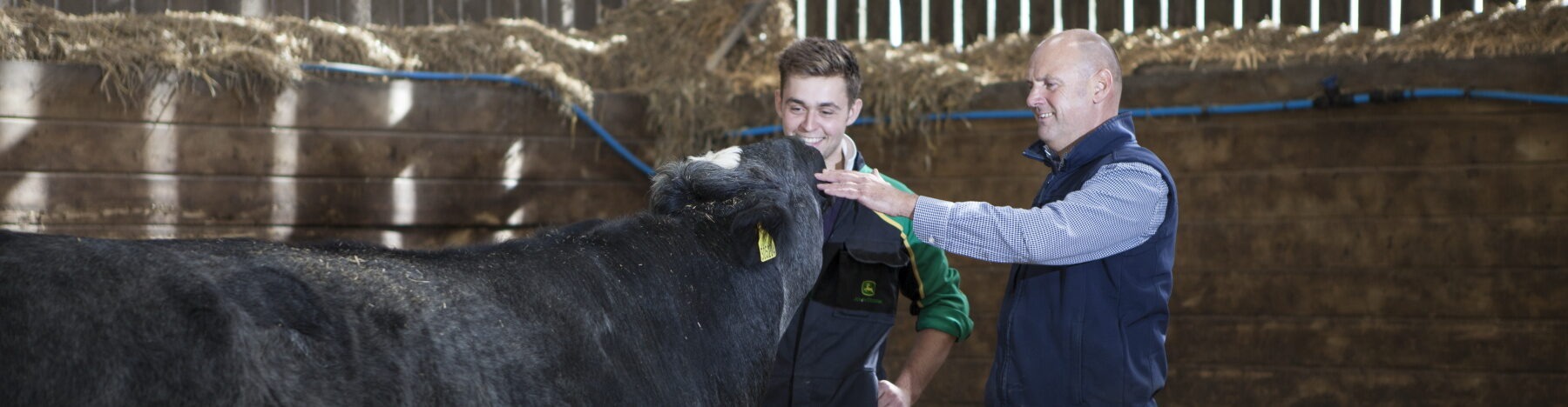 Buitelaar Tech Team Image - Terry petting a blue