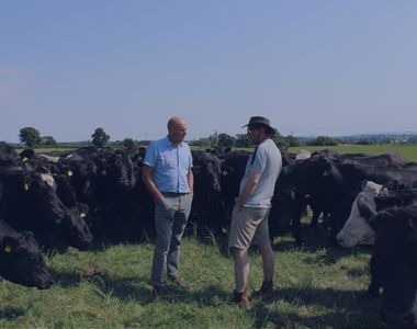 Store & Finished Cattle Image