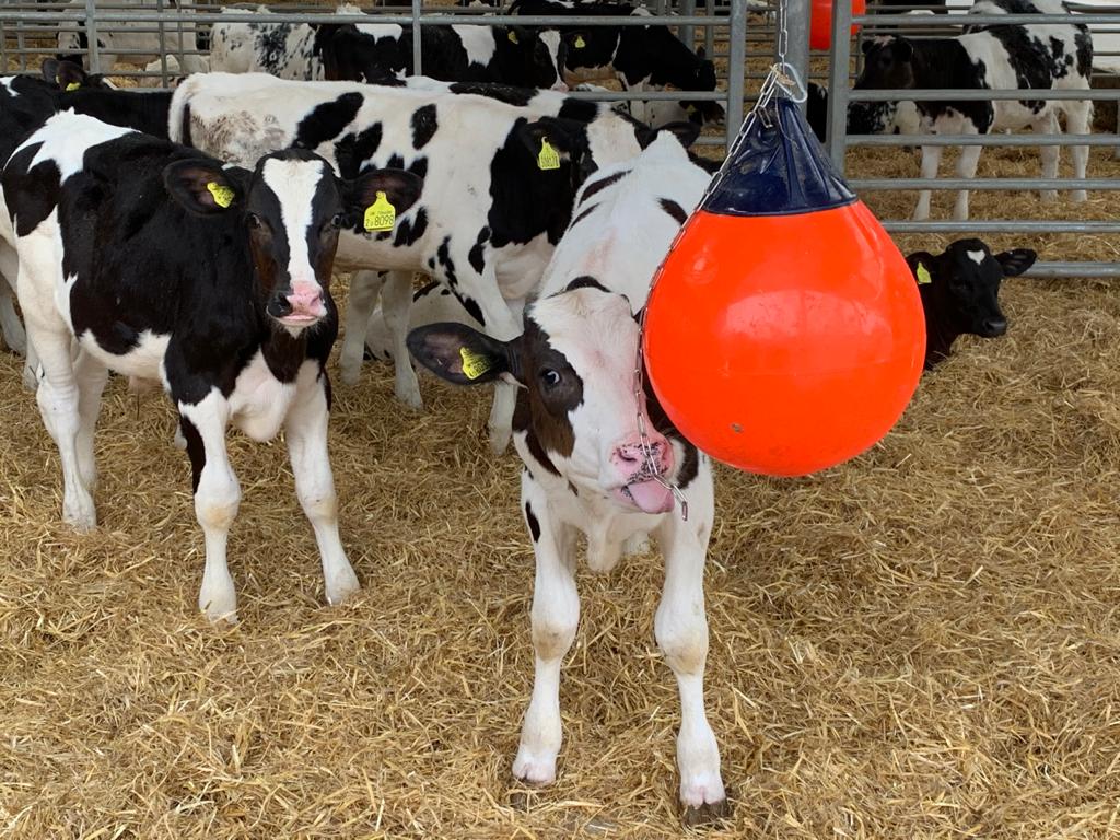 Long Lane Development Farm Image