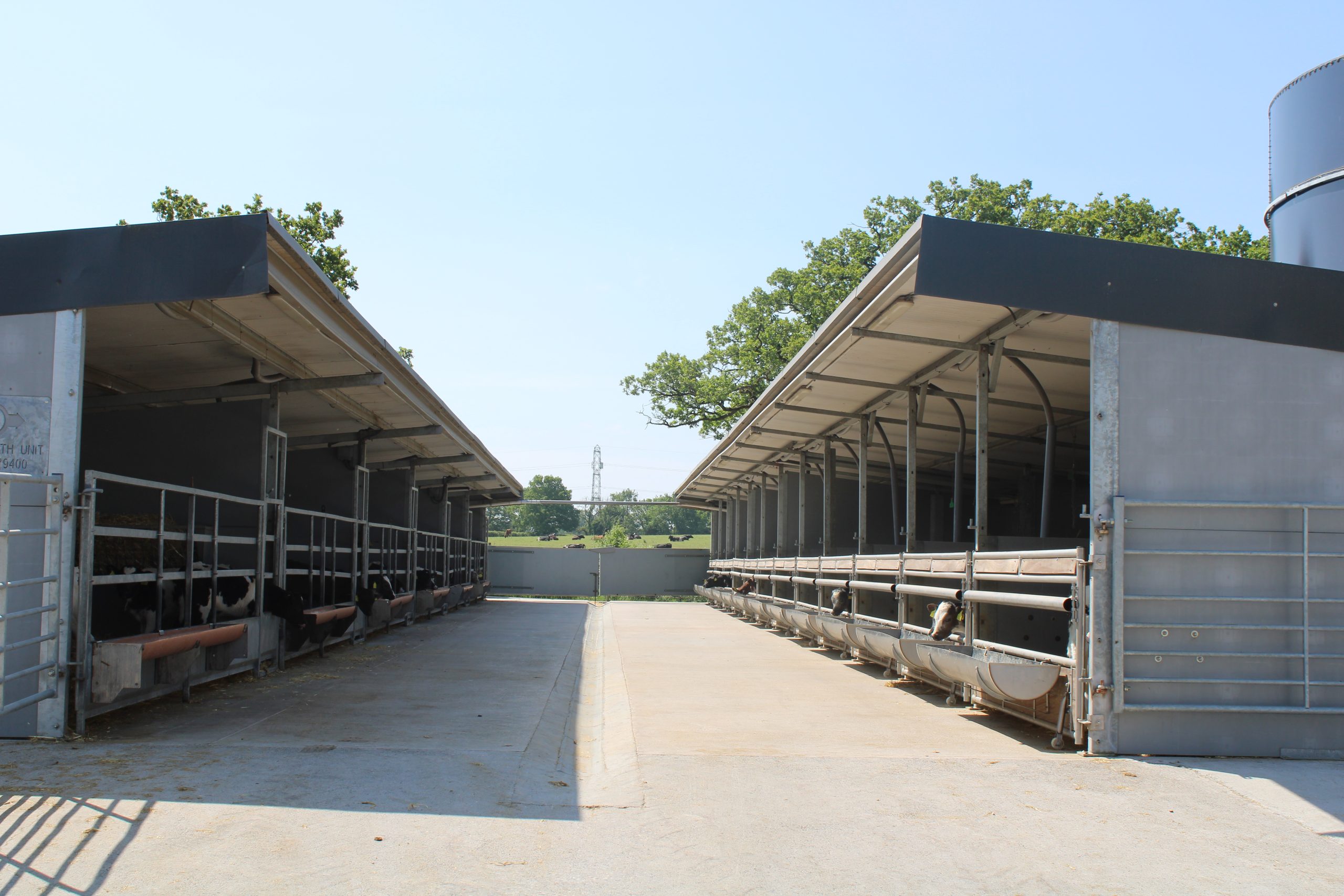Buitelaar AG Research & Development