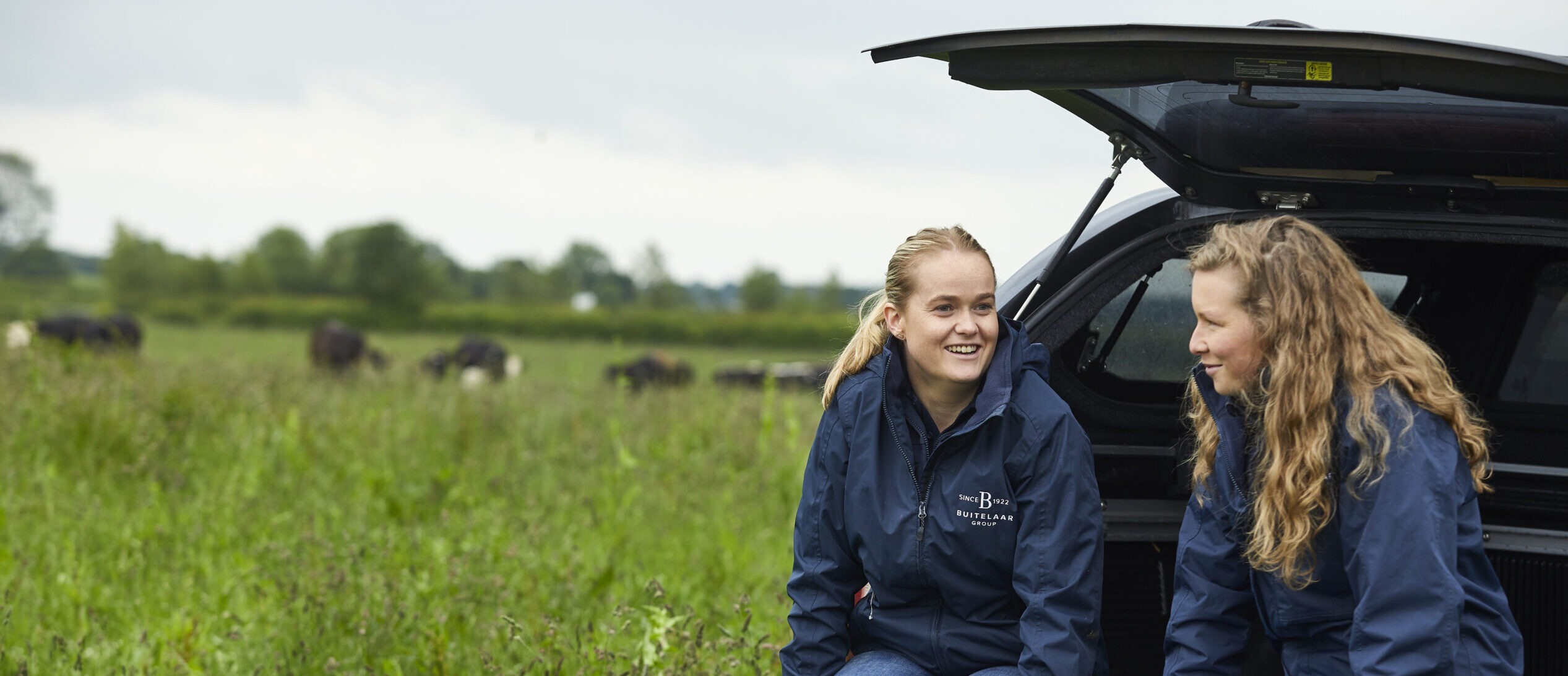 Buitelaar team members at Prumplestown Farm, taking time in the field among grazing cattle, reflecting the link between regenerative farming, animal welfare and positive mental wellbeing.
