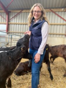 A female member of the Buitelaar team in a barn smiling with a happy, healthy calf